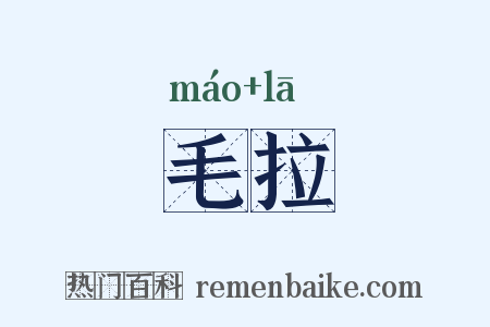 毛拉是什么意思的图片